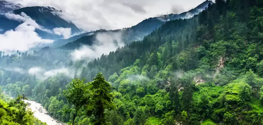 Great Himalayan National Park in Tirthan Valley